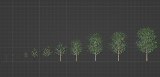 Figure 1: Age-specific 3D models of Populus tremula produced by GreenTwins