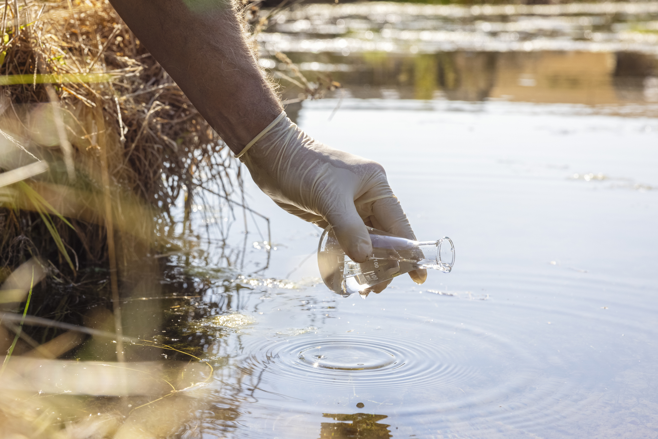 In UrbanSplash pilot project, an innovative solution for real-time assessment of bathing water quality will be created