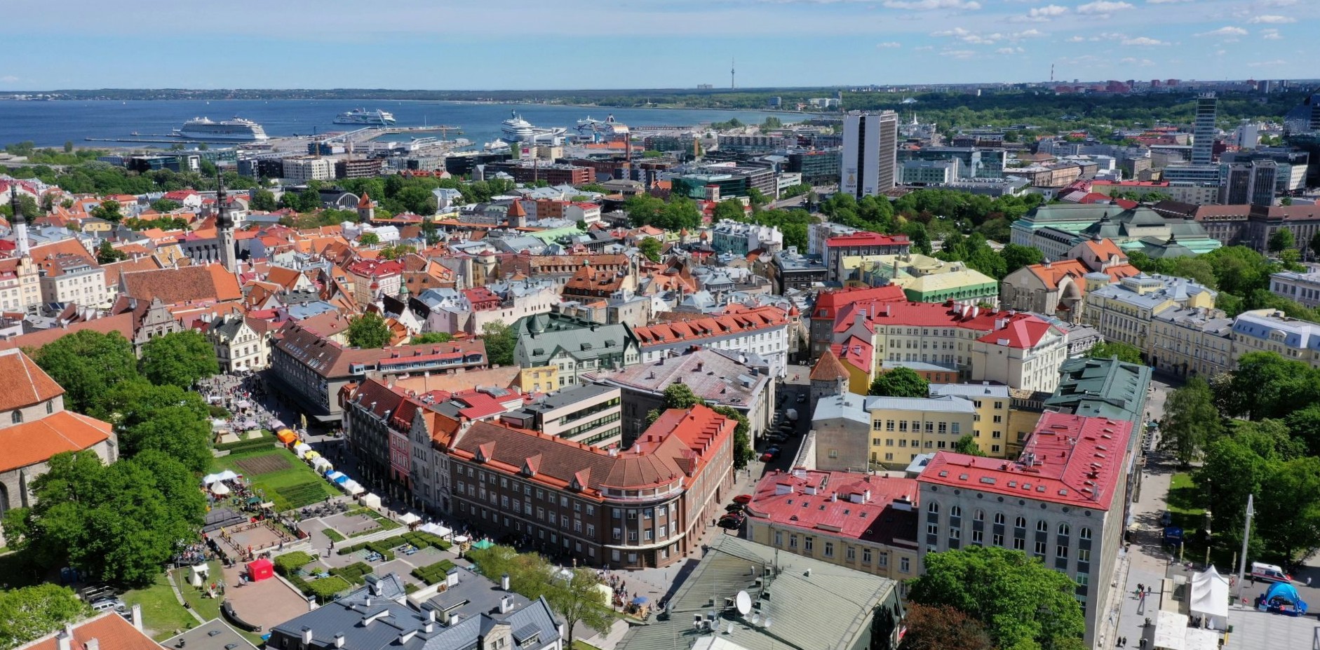 Photo by Loov 12 on Unsplash